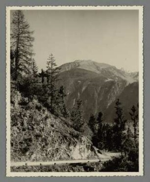 Bei Finkenberg im Zillertal