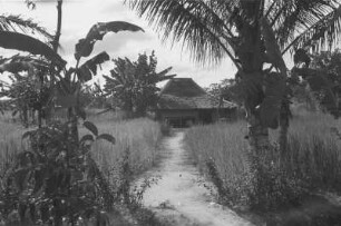 Familienarbeiterwohnung : Landschaft mit Palmen, Hütte und Weg