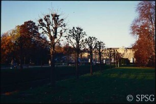 Potsdam, Park Sanssouci, Bullenwiese, Kastanien bei den Stichgräben.
