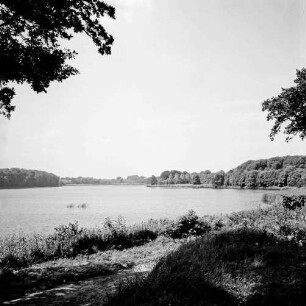 Grabauer See: vorn Fußweg, Gräser und Stauden: rechts und links Baumäste: im Hintergrund Baumgruppen