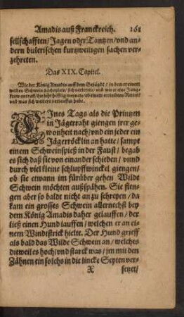 Das XIX. Capitel.