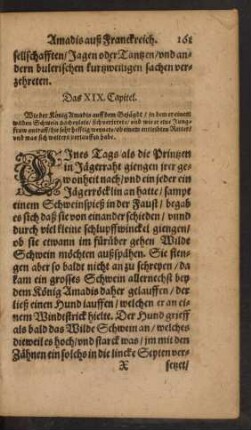 Das XIX. Capitel.