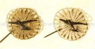 WHW-Abzeichen, Spitzenrosette mit Segelflugzeug, Reichsstraßensammlung vom Juni 1934, durchgeführt vom Deutschen Luftsportverband (DLV)