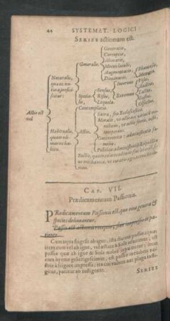 Cap. VII. Praedicamentum Passionis