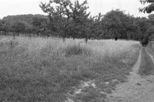 Leserbrief eines Grundstücksbesitzers zum Bebauungsplan "Bergfeld" in Durlach