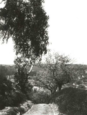 Freital-Wurgwitz. Ortsteilansicht. Blick von Norden über das Wiederitztal