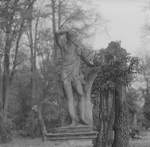 Bacchus