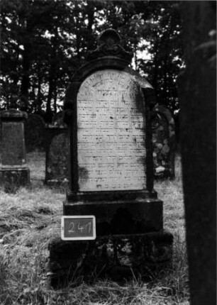 Grabstein 241 [Nir S. 164 Nr. 15.21]
