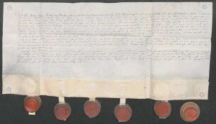 Instrumentum probationis des Karl Franz Elzear von Wangen.