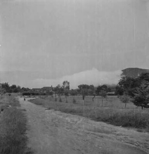 Straße nach Iringa : Eine Straße führt nach Iringa, daneben Felder