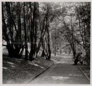 Das hunderttürmige Prag, Kinsky-Garden