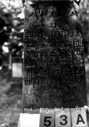 Grabstein 53 (Index: 100109288) Material: Sandstein oder Marmor (?), Sockel Kalkstein Zustand: leicht verwittert Maße HxBxT: 163x46x46 cm Beschreibung: Obelisk, getreppter Sockel Symbolik: Blumengirlande Steinmetz: Beerli Besonderheit: Nummer auf Rückseite: 151: Grabstein 53A