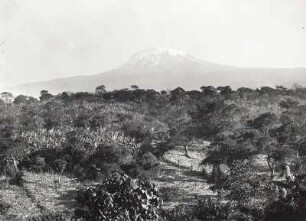 Kilimandscharo. Kibo von Süden : Deutsch-Ostafrika (heute: Tansania). Kilimandscharo. Kibo (5896 m) von Moshi (900 m) von Süden, um 1888