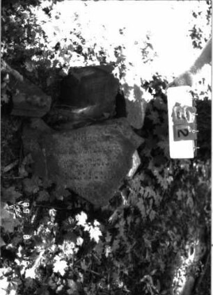 Grabstein 32 (Index: 100105607) Material: Sandstein Zustand: zerbrochene Fragmente Beschreibung: Fragmente verschiedener Stelen Besonderheit: die Fragmente stammen von verschiedenen Stelen und liegen auf einem Haufen: Grabstein 32