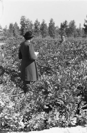 Auf der Plantage : Zwei Männer auf einer Plantage