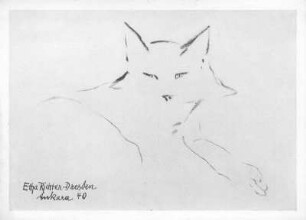 Liegende Katze : Liegende Katze. Kohlezeichnung (1940; E. Richter). Dresden-Striesen, Borsbergstraße, Atelier der Künstlerin