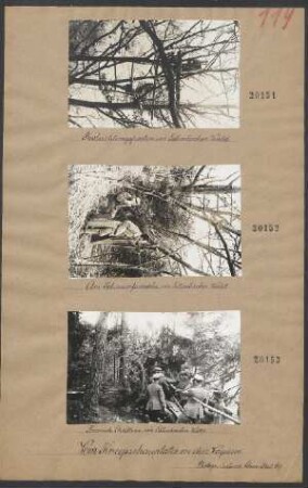 Beobachtungsposten im Estenbacher Wald