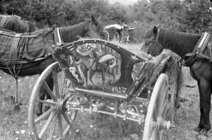 St. Konstantin: Wagen mit Bemalung, Erlkönig