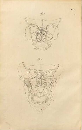 Chirurgisch-anatomische Abbildungen für Ärzte und Wundärzte, 1. ... Welcher die Theile des Kopfes und Halses begreift