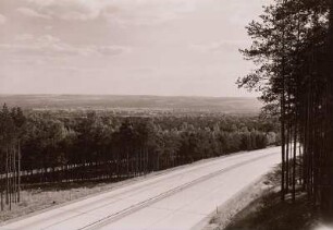 Dresden-Junge Heide
