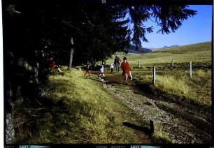 Stohren: Sonntagsspaziergänger am Waldrand, Weg, Staufen - Schauinsland