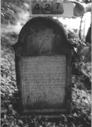 Grabstein 427 (Index: 99800272) Material: Sandstein Zustand: verwittert Maße HxBxT: 98x54x17 cm Beschreibung: Stele, Konvexbogenabschluß mit Verdachung, Schriftfeld rechteckig eingetieft, Sockel: Grabstein 427