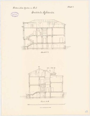Botanisches Institut der Christian-Albrechts-Universität Kiel: Längsschnitt und Querschnitt 1:100