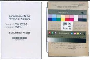 Entnazifizierung Walter Biertuempel , geb. 20.11.1900 (Faerber)
