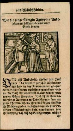Wie die junge Königin Agrippina Andolosiam mit falscher Liebe umb seinen Seckel brachte.