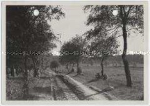 Lüneburger Heide, Birkenweg