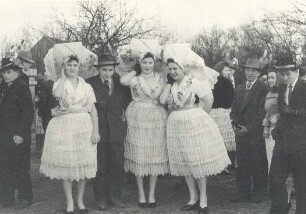 Fastnacht in Drachhausen : Ort: Hochoza / Drachhausen. Festumzug an Fastnacht (Zampern)