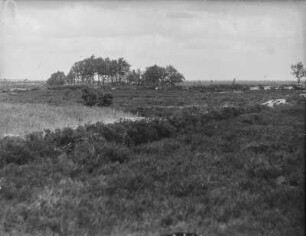 Landschaft : Blick in eine offene Landschaft auf ein von Bäumen umgebenes Gehöft.