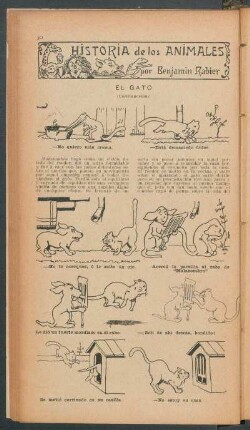 El gato - (Continuación) : Historia de los animales