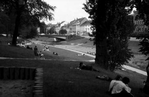 Freiburg: Dreisamwiese vom Spielplatz Schreiberstraße
