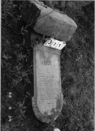 Grabstein 311 (Index: 100095693) Maße HxBxT: 128x50x17 cm: Grabstein 311