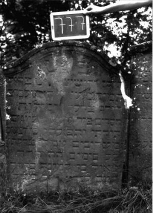 Grabstein 777 (Index: 100104697) Material: Sandstein Zustand: teilweise stark verwittert, eingesunken Maße HxBxT: 119x86x9 cm Beschreibung: Stele, Konvexbogenabschluss mit Verdachung: Grabstein 777