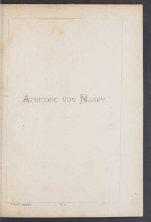 V. 1. Apricose von Nancy