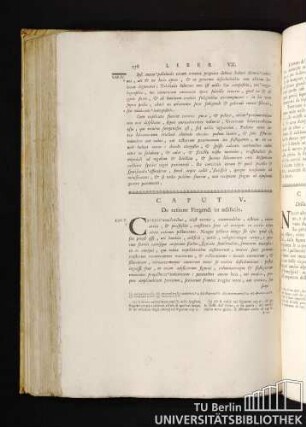 Caput V. De ratione Pingendi in aedificiis. Capitolo V. Della maniera di Dipingere nelle stanze.