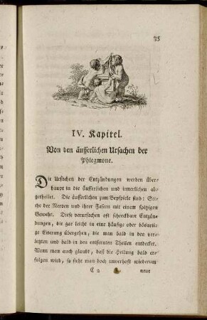 IV. Kapitel. Von den äusserlichen Ursachen der Phlegmone.