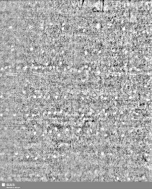 Lilienschild + IESV / LW = Bd.1, S.45/46