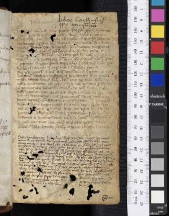 Auszüge aus den Kirchenvätern und der Bibel