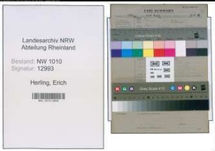 Entnazifizierung Erich Herling , geb. 21.01.1904 (Stadt)