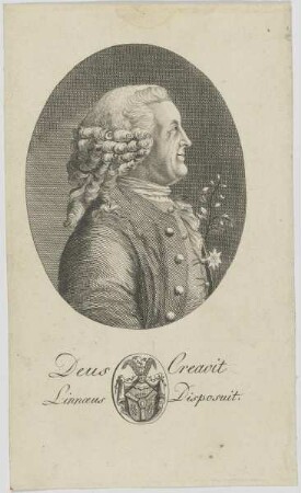 Bildnis des Linnaeus