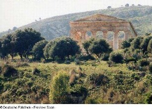 Dorischer Tempel (in Segesta ?)
