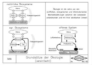 Grundsätze der Ökologie (vereinfacht)