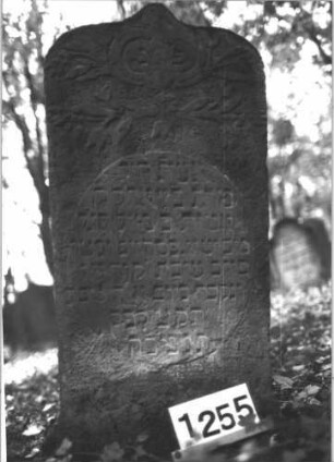 Grabstein 1255 (Index: 99900069) Material: Sandstein Zustand: unten verwittert, sonst gut erhalten Maße HxBxT: 114x57x7 cm Beschreibung: Stele mit Kielbogenabschluss, im Bogenfeld Blumenranken Symbolik: Blumenranken: Grabstein 1255