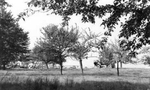 Neschwitz-Saritsch. Ehem. Windmühlengehöft, Trümmer der Gebäude