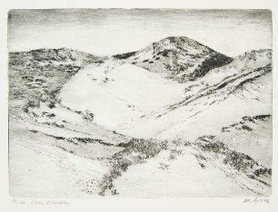 Sylt - Dünenlandschaft