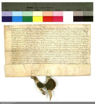 Revers der Brüder Sebastian und Christoph von Fulbach bezüglich der Belehnung mit einem Hof in Rannungen durch Philipp [Schenck zu Schweinsberg], Abt von Fulda
