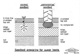 Seedbed preparing for sugar beets